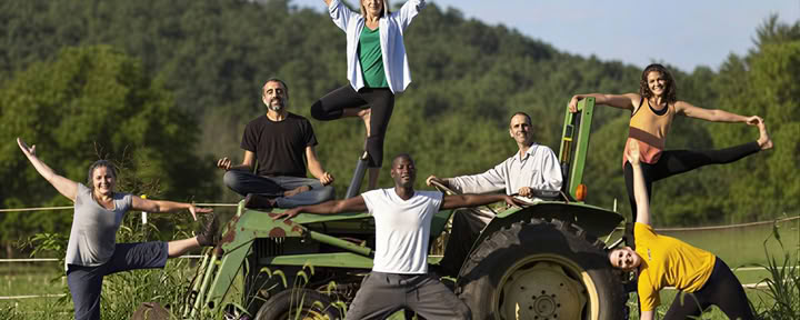 Ashram Yogi