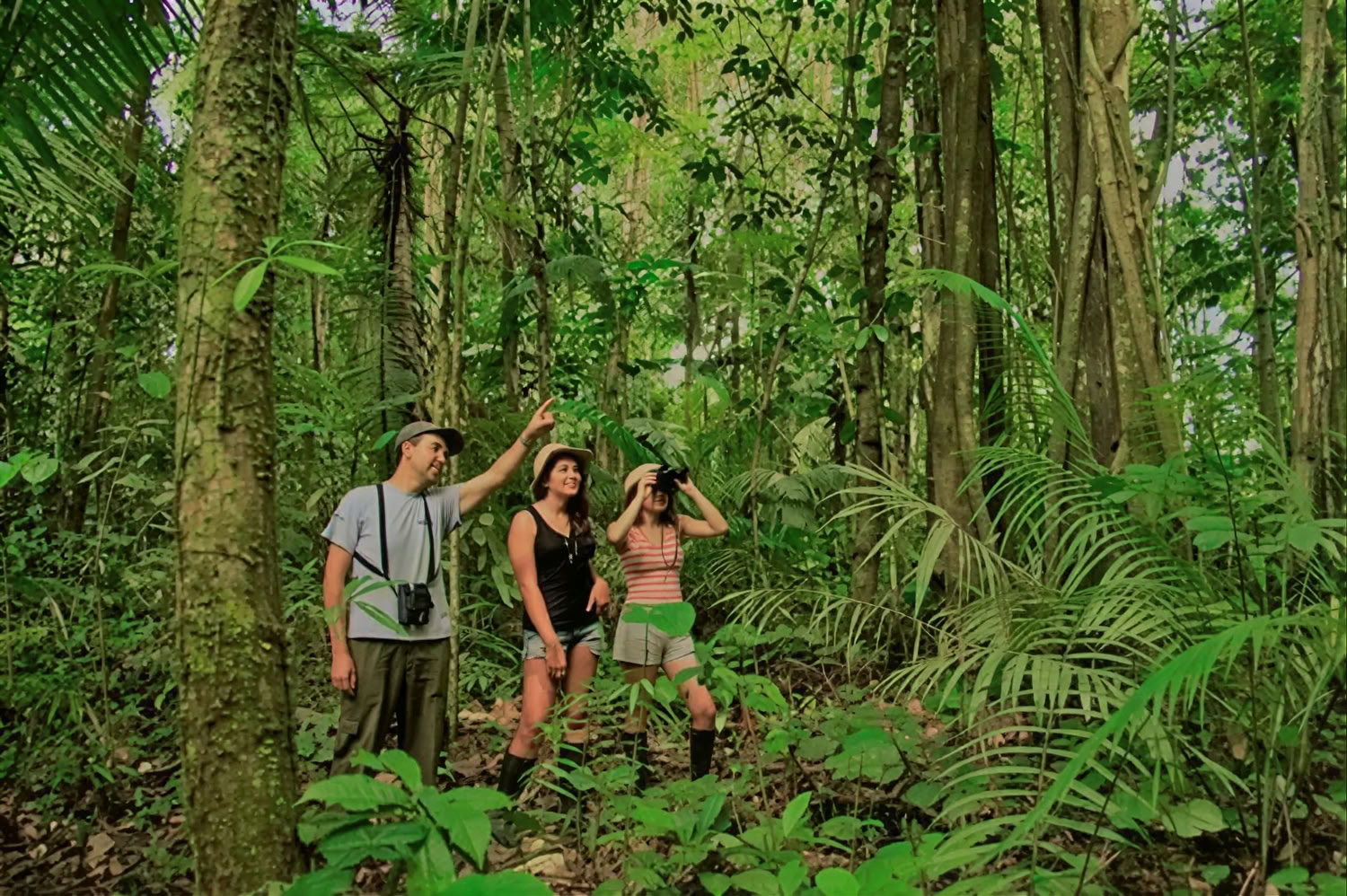Retraite Ayahuasca