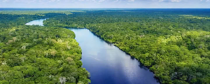 Retraite Ayahuasca