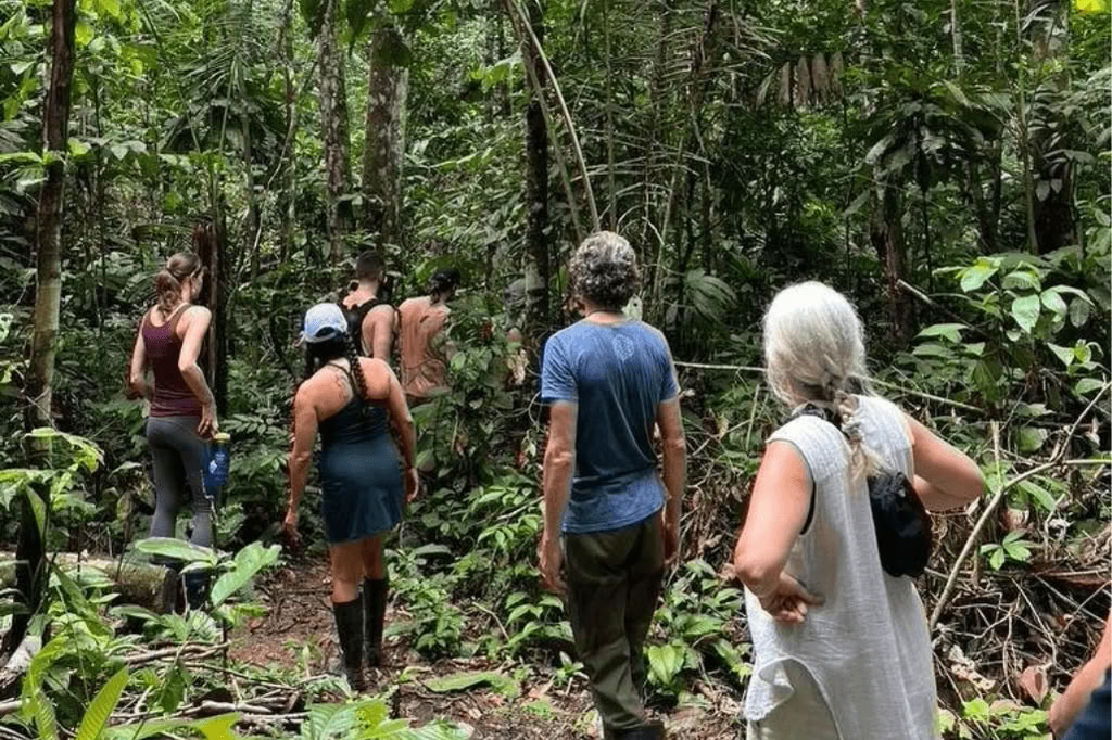 Amazonie - Blue Morpho Lodge 3 ayahuasca & 1 San Pedro