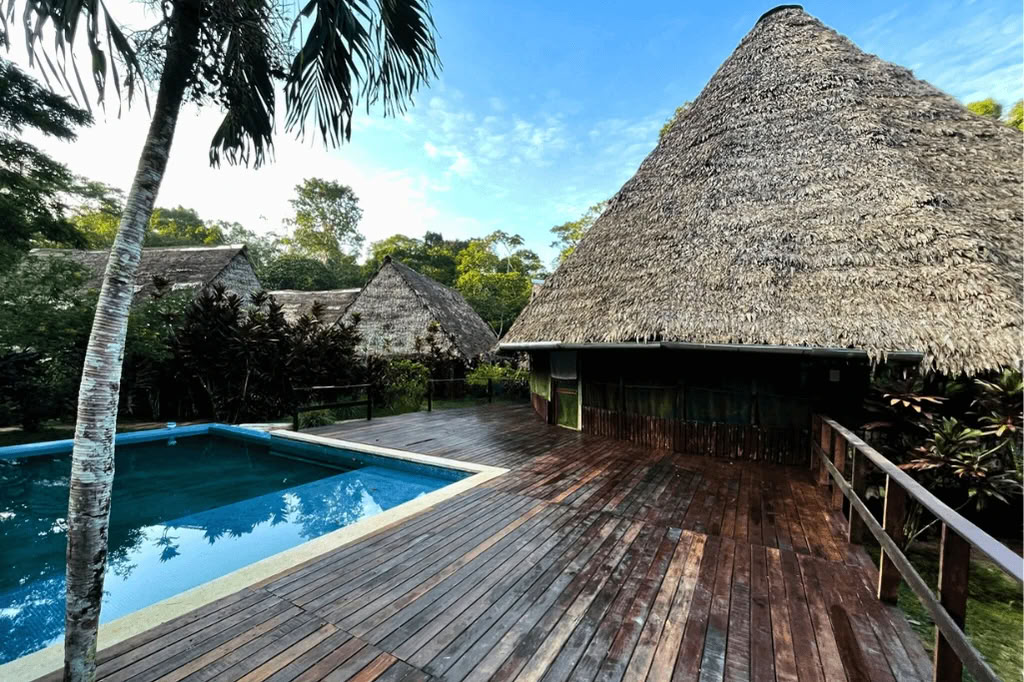 Amazonie - Blue Morpho Lodge 3 ayahuasca & 1 San Pedro