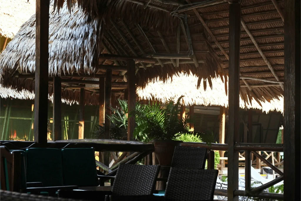 Amazonie - Blue Morpho Lodge 3 ayahuasca & 1 San Pedro