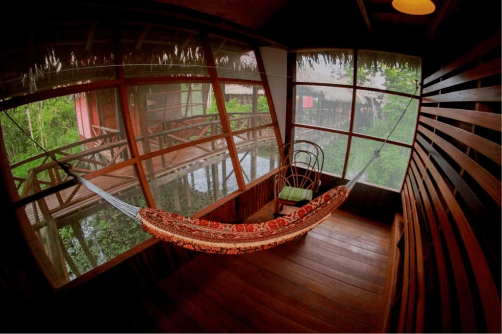 Amazonie - Blue Morpho Lodge 3 ayahuasca & 1 San Pedro