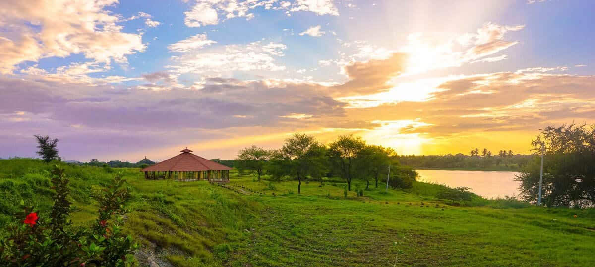 Formation de professeurs de yoga de 200 heures en Inde – du 10 février au 10 mars 2027
