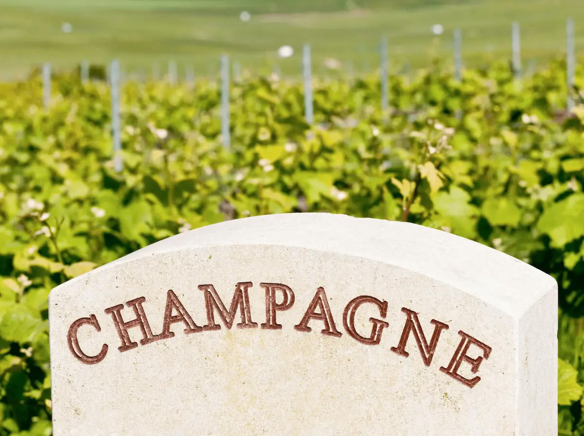 Champagne & Soul : retraite de yoga + champagne pour femmes (Reims, France)