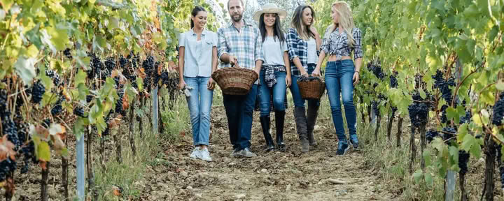 Champagne & Soul : retraite de yoga + champagne pour femmes (Reims, France)