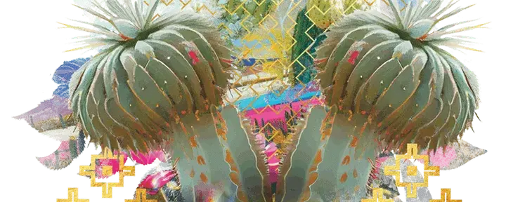Pachakuti Mesa Apprenticeship – Partie V : Le soi chamanique (Au service de la Terre)