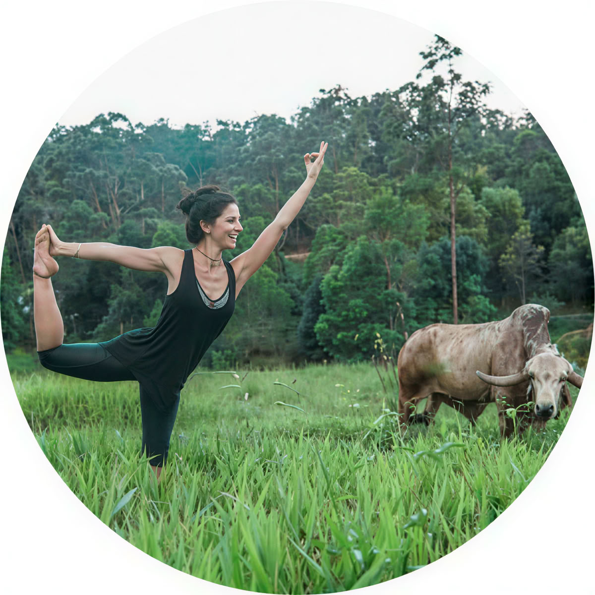 Immersion retraite de formation de professeur de yoga de 200 heures