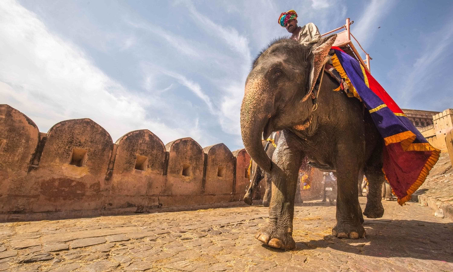 'Spirit of the Himalayas' Tour + Festival Holi en Inde