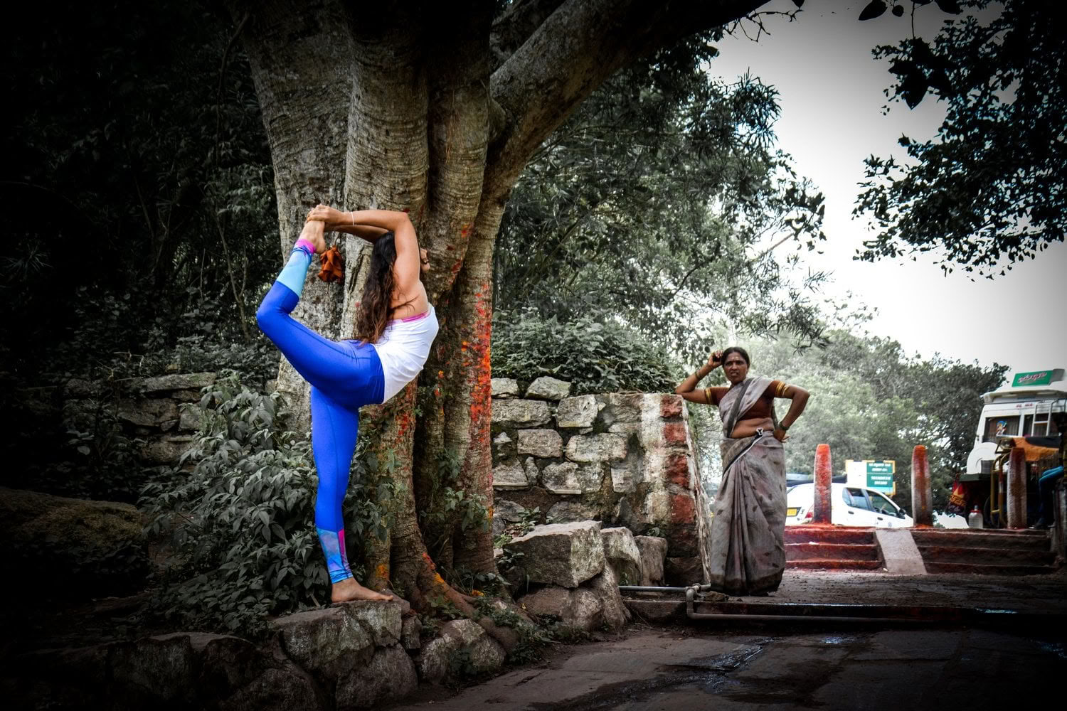 'Spirit of the Himalayas' Tour + Festival Holi en Inde