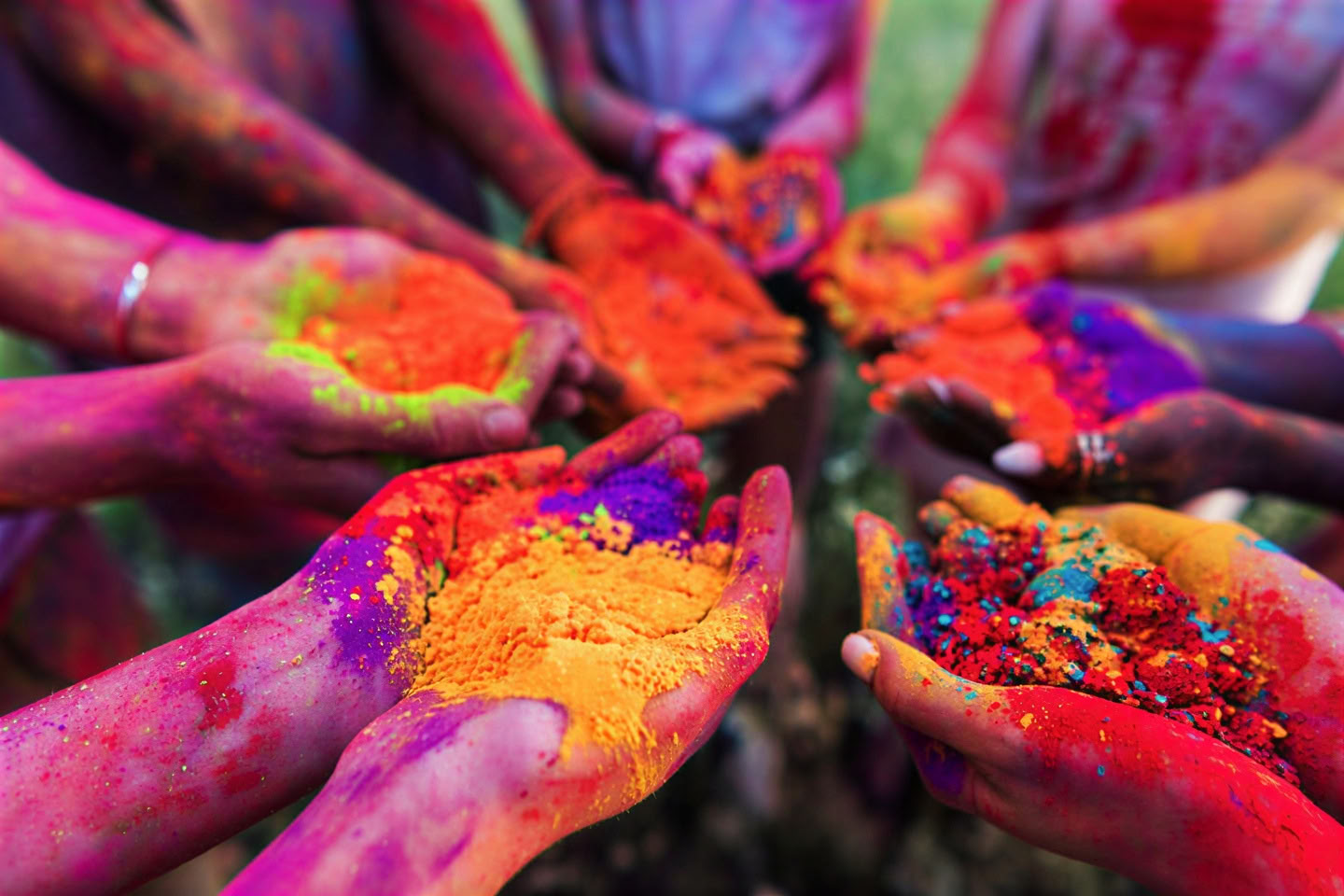 'Spirit of the Himalayas' Tour + Festival Holi en Inde