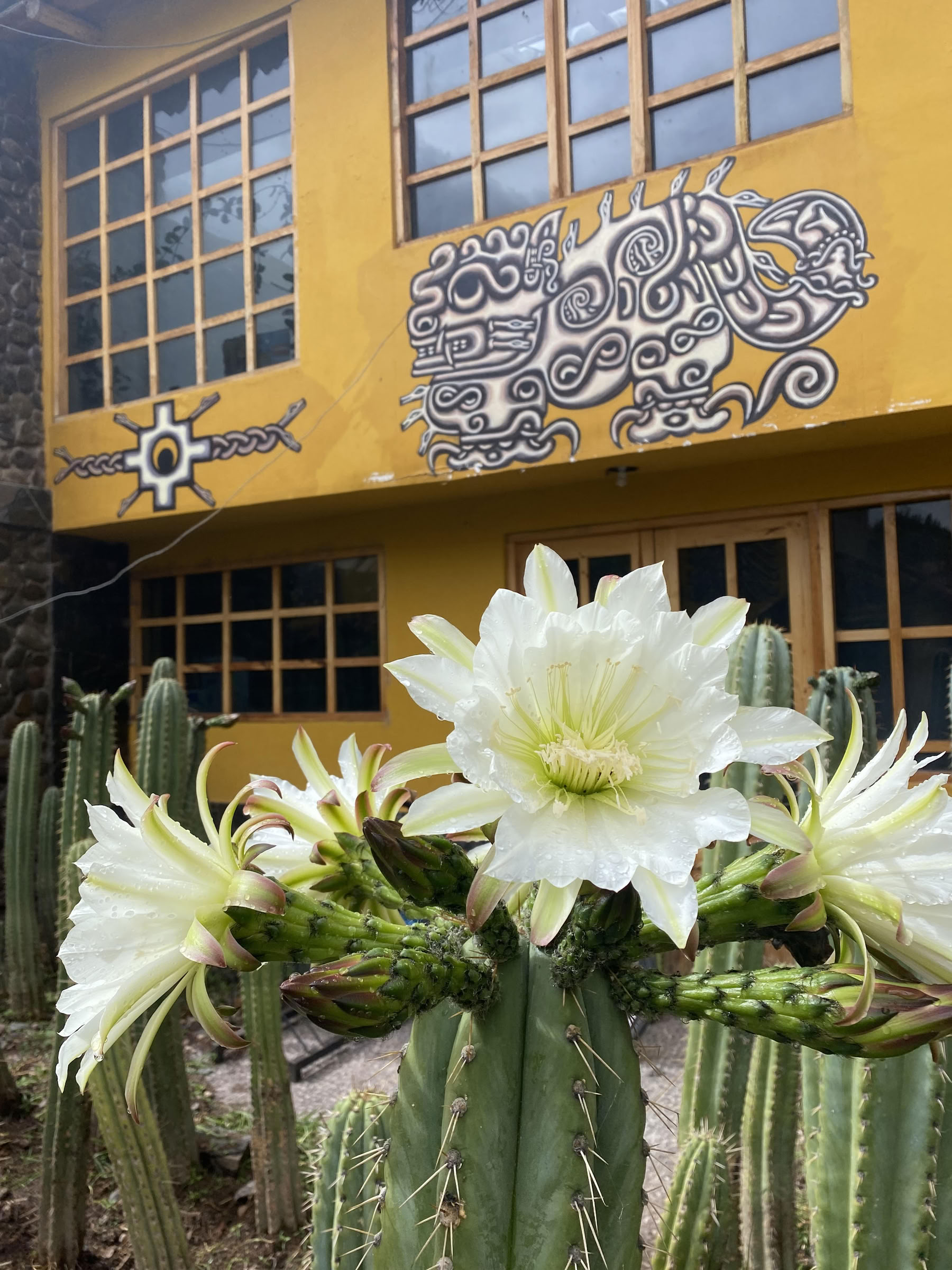 Cérémonie de San Pedro