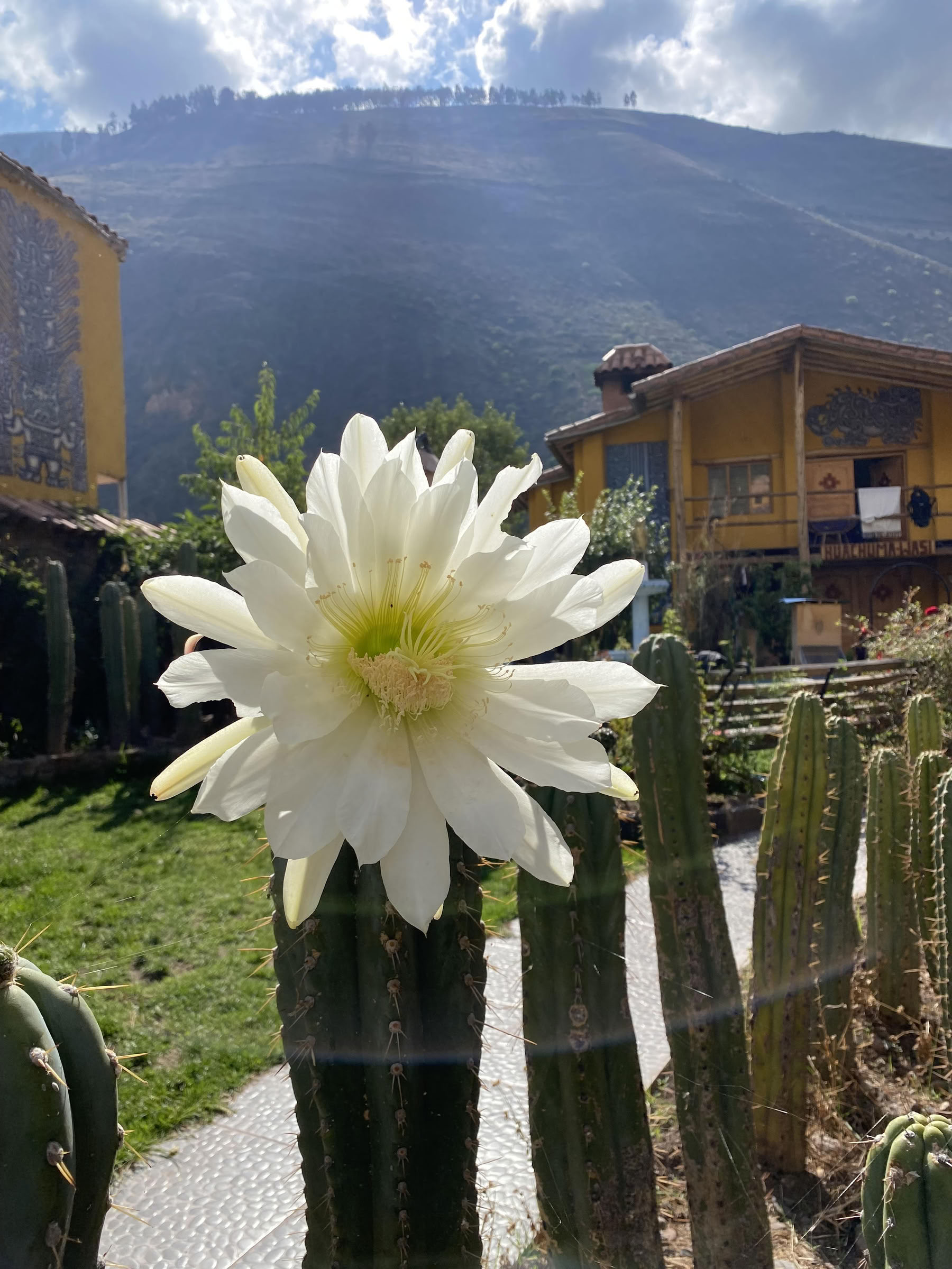 Cérémonie de San Pedro
