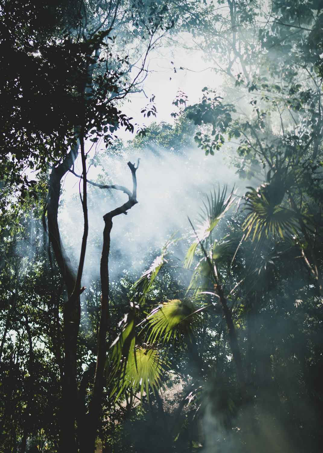 Sacred Flow Retraite – 12th - 19th December 2026
