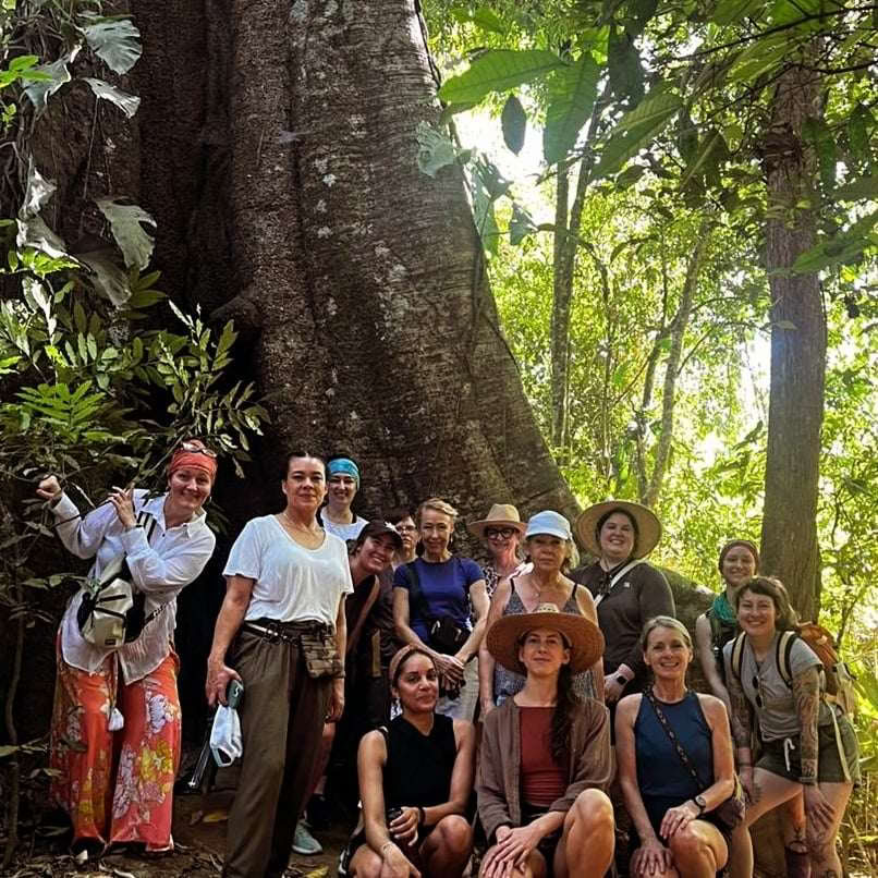 Retraite d’initiation au yoga et à l’esprit des plantes