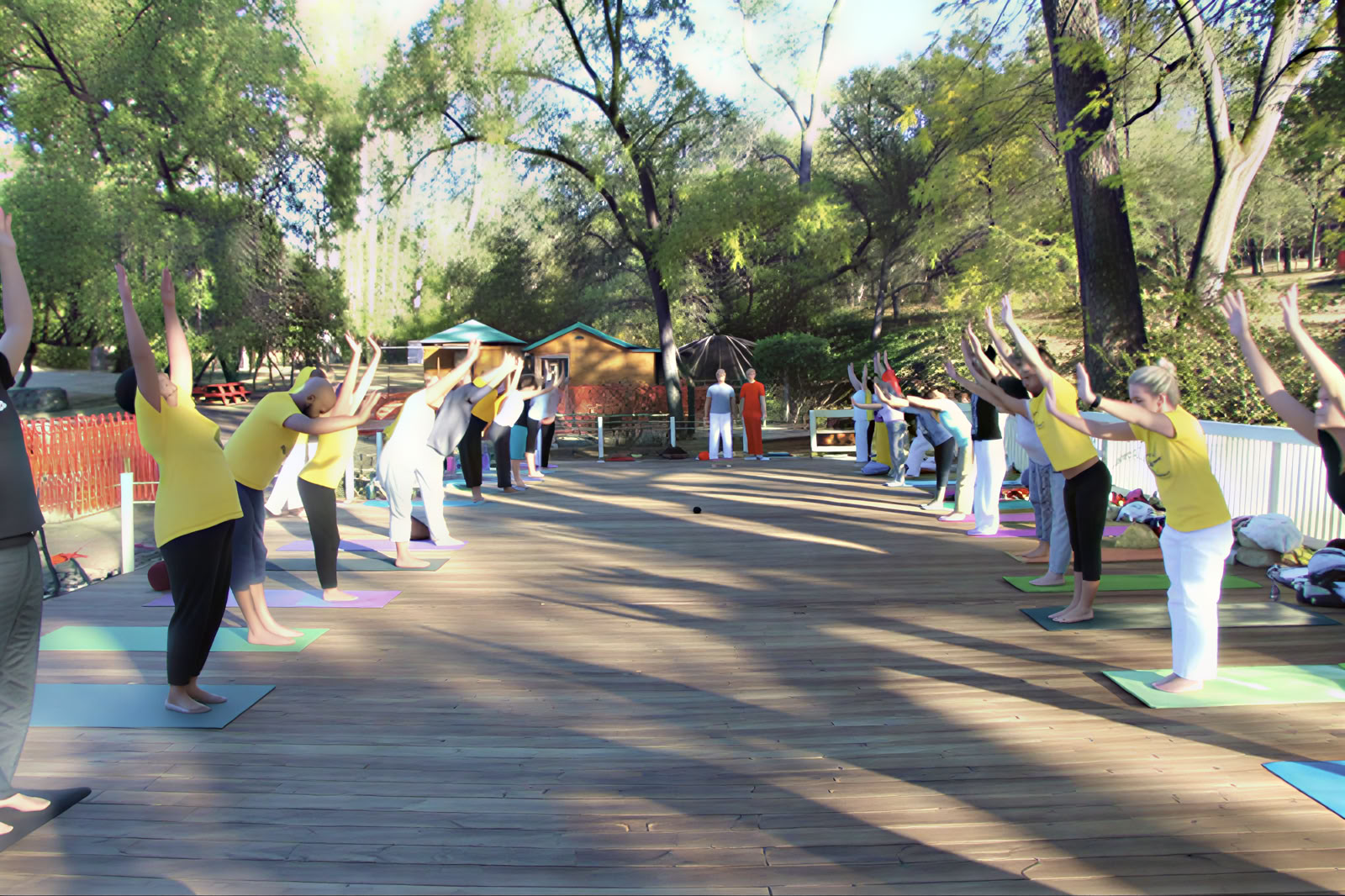 Cours de formation pour professeurs de yoga – 17 oct. - 14 nov.