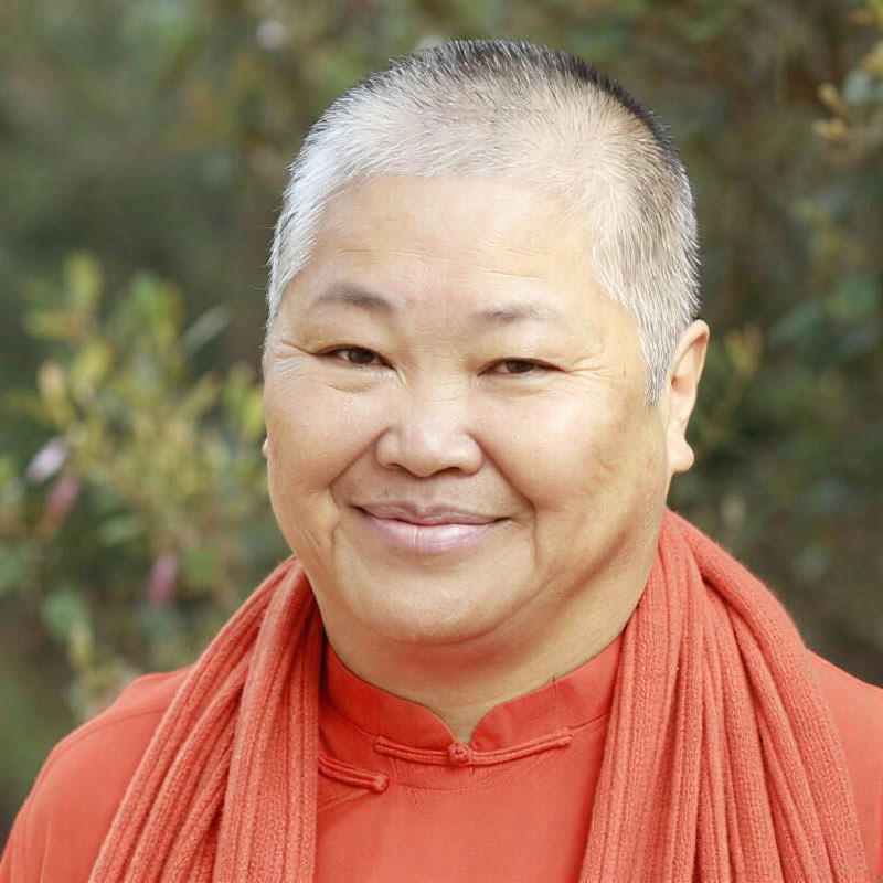 Cours de formation pour professeurs de yoga – 17 oct. - 14 nov.