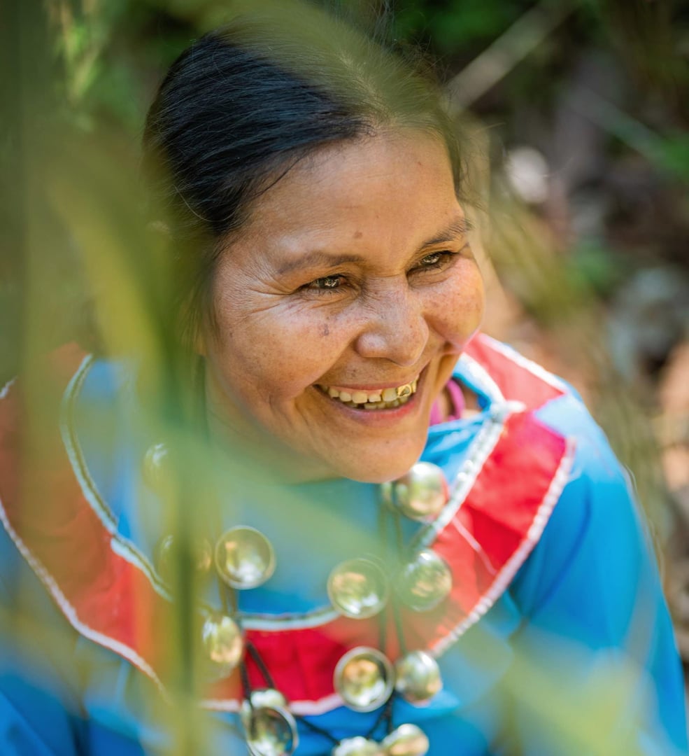 Retraite de guérison à l’ayahuasca pour femmes