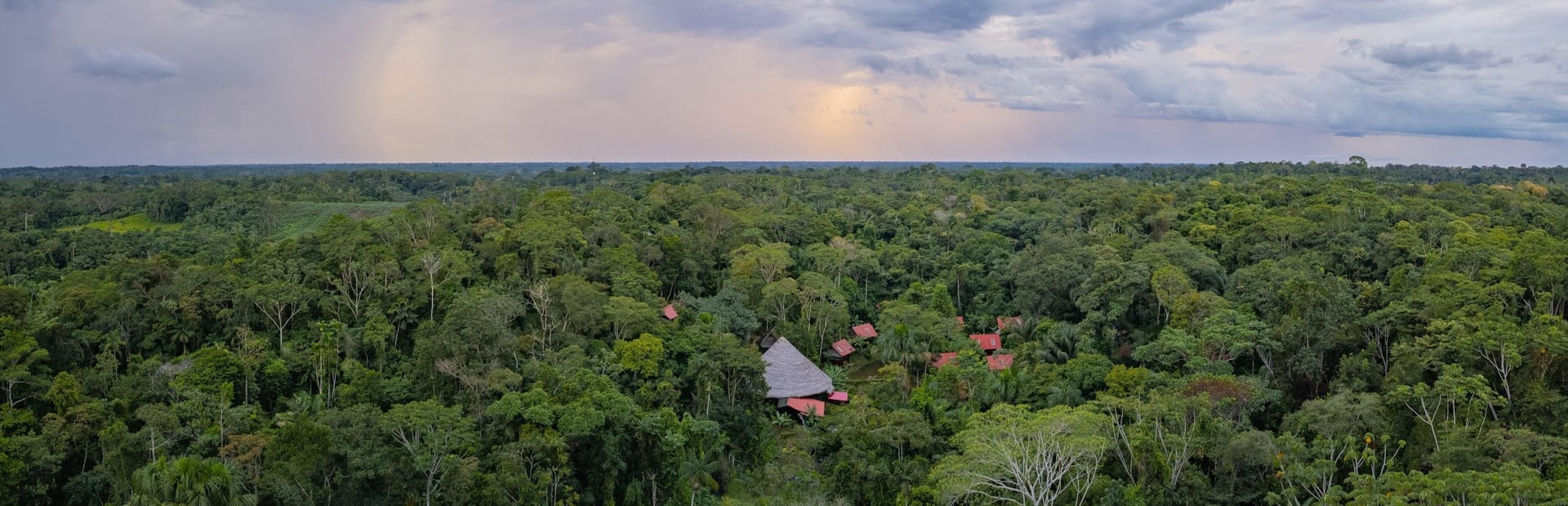 Retraite de guérison à l’ayahuasca pour femmes