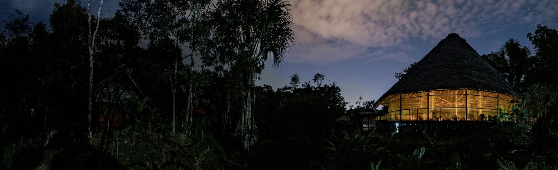Retraite de guérison à l’ayahuasca pour femmes