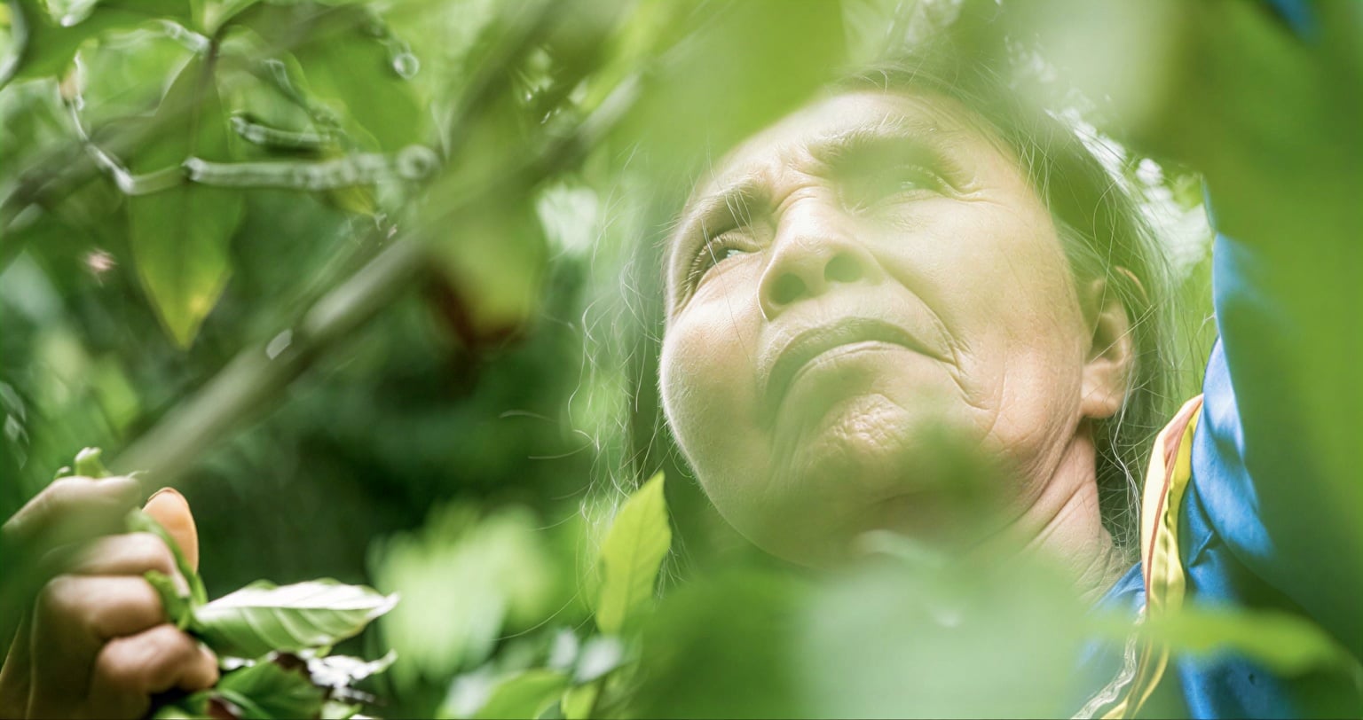 Retraite de guérison à l’ayahuasca pour femmes