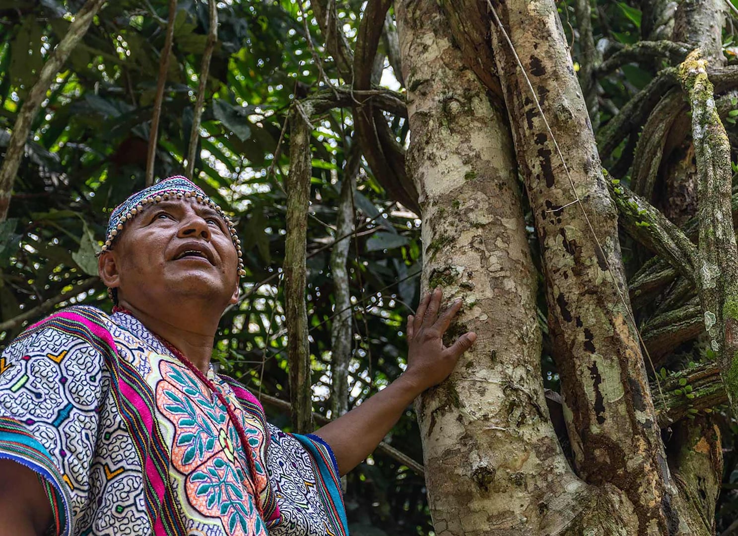 Retraite de guérison à l’ayahuasca pour femmes