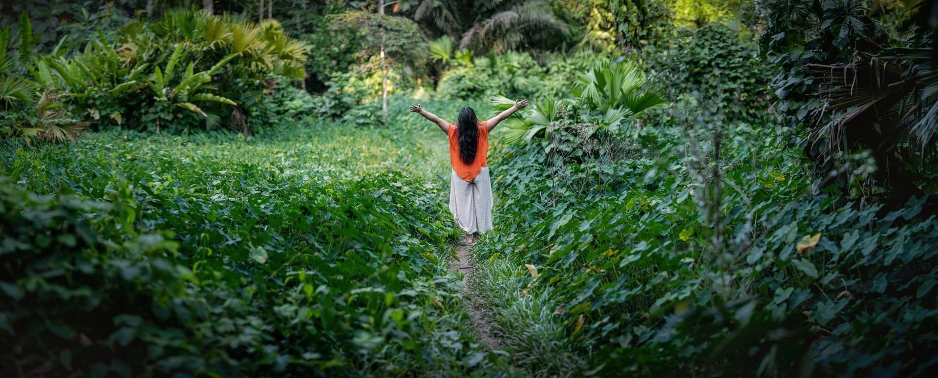 Retraite de guérison à l’ayahuasca pour femmes