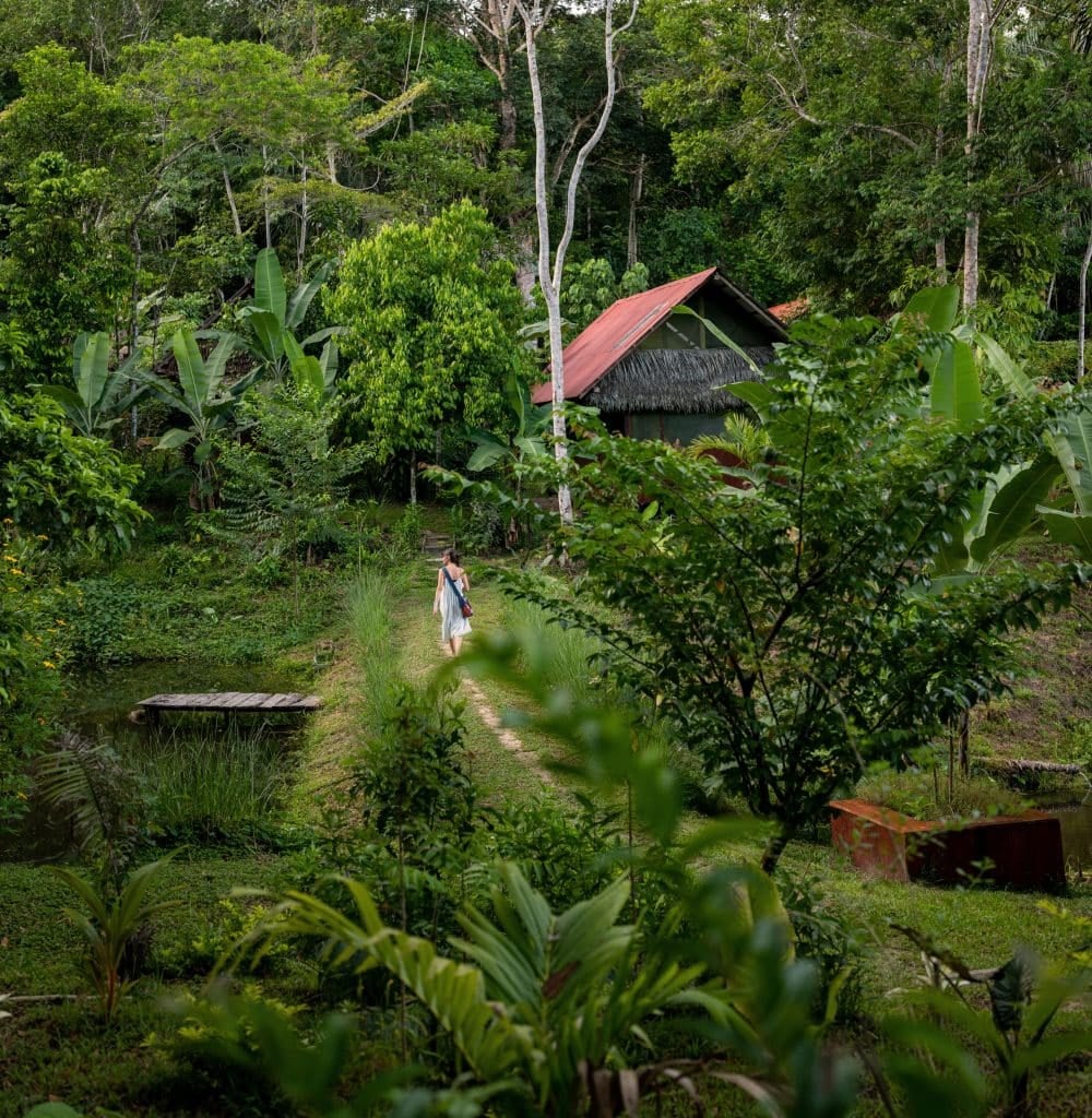 Retraite de guérison à l’ayahuasca pour femmes