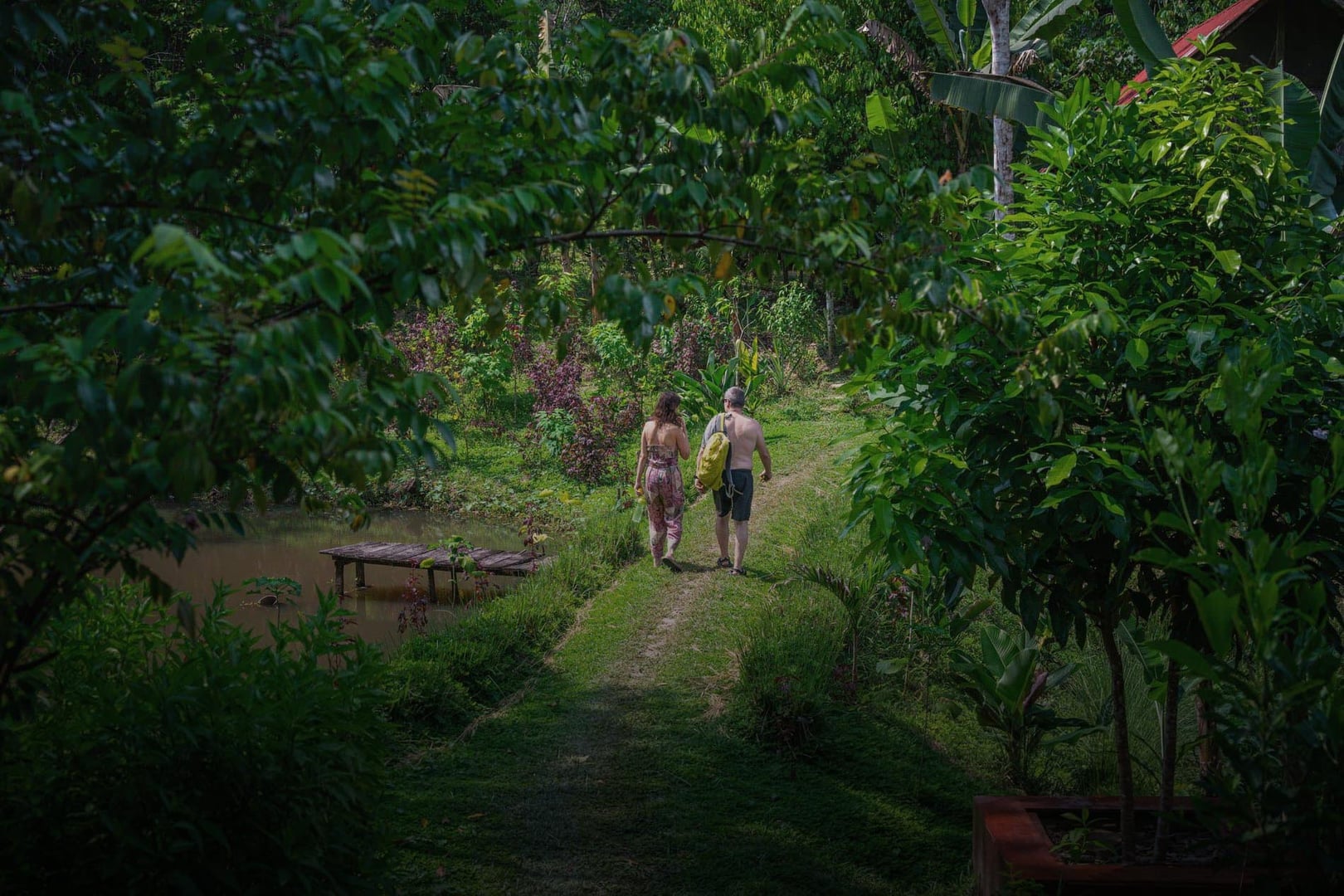 Retraite de guérison à l’ayahuasca pour femmes