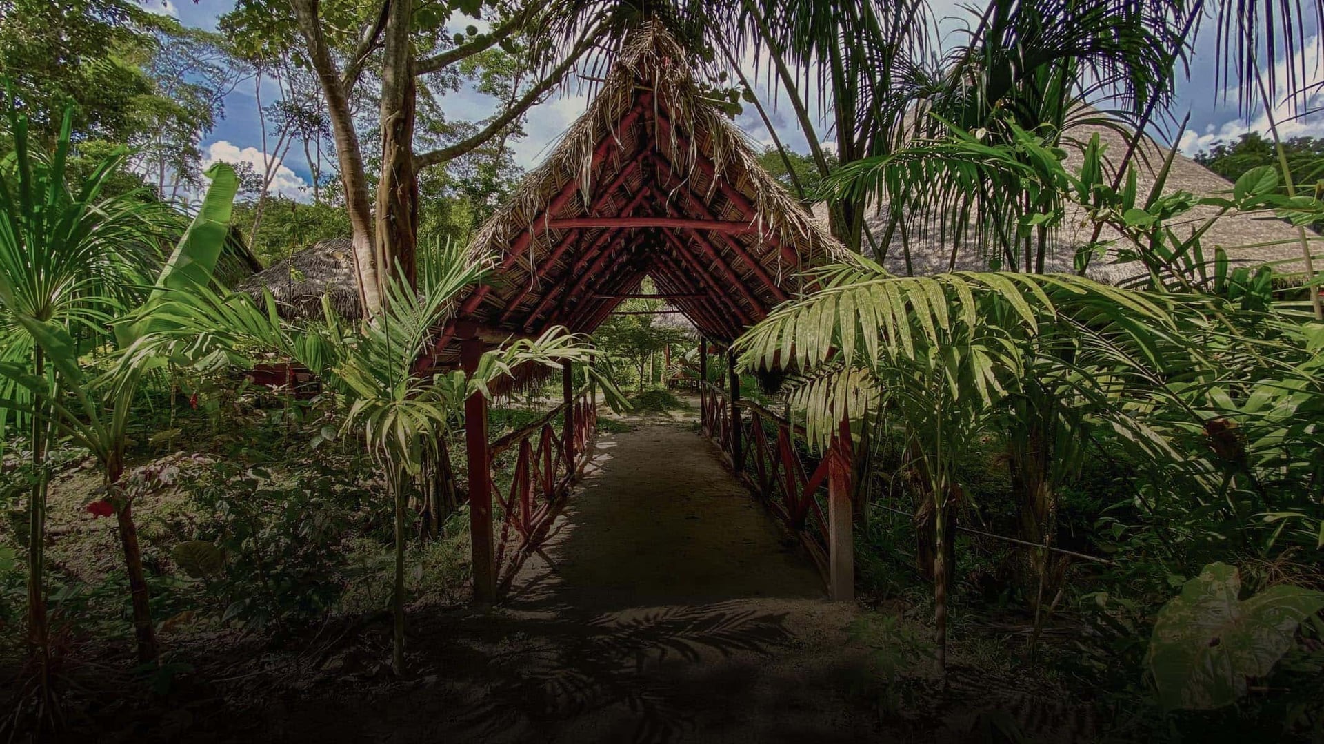 Retraite de guérison à l’ayahuasca pour femmes