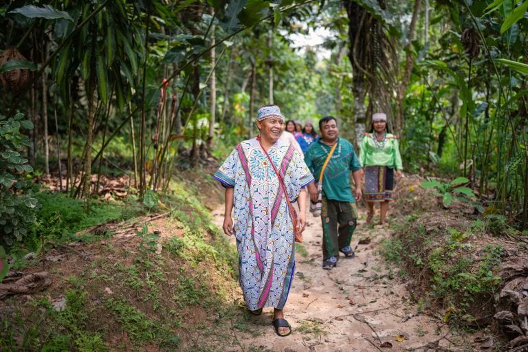 Retraite de guérison à l’ayahuasca pour femmes
