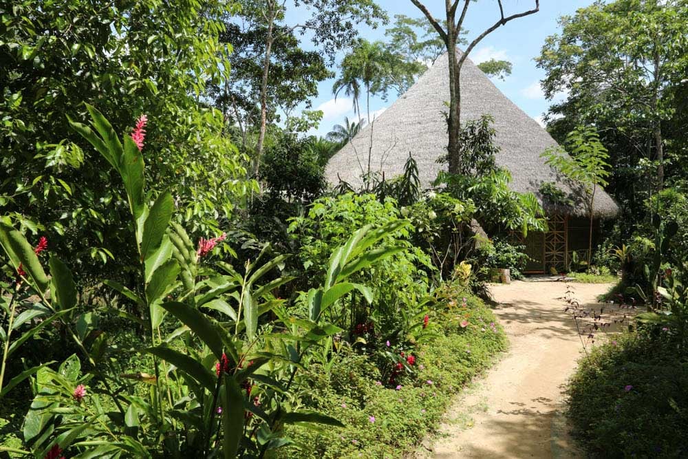 Retraite de guérison à l’ayahuasca pour femmes