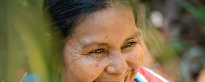 Retraite de guérison à l’ayahuasca pour femmes