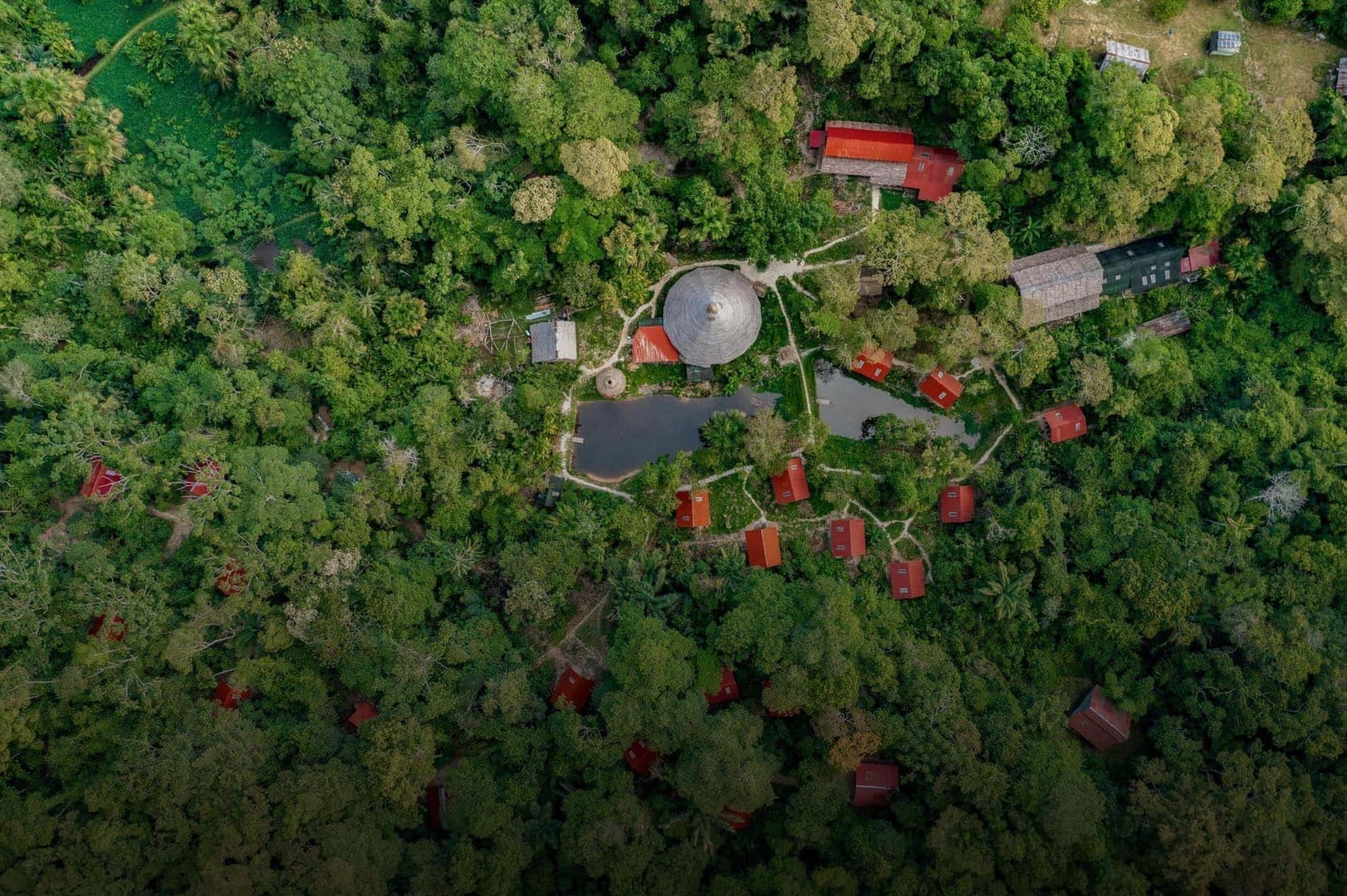 Retraite Ayahuasca 2026 pour les praticiens de santé