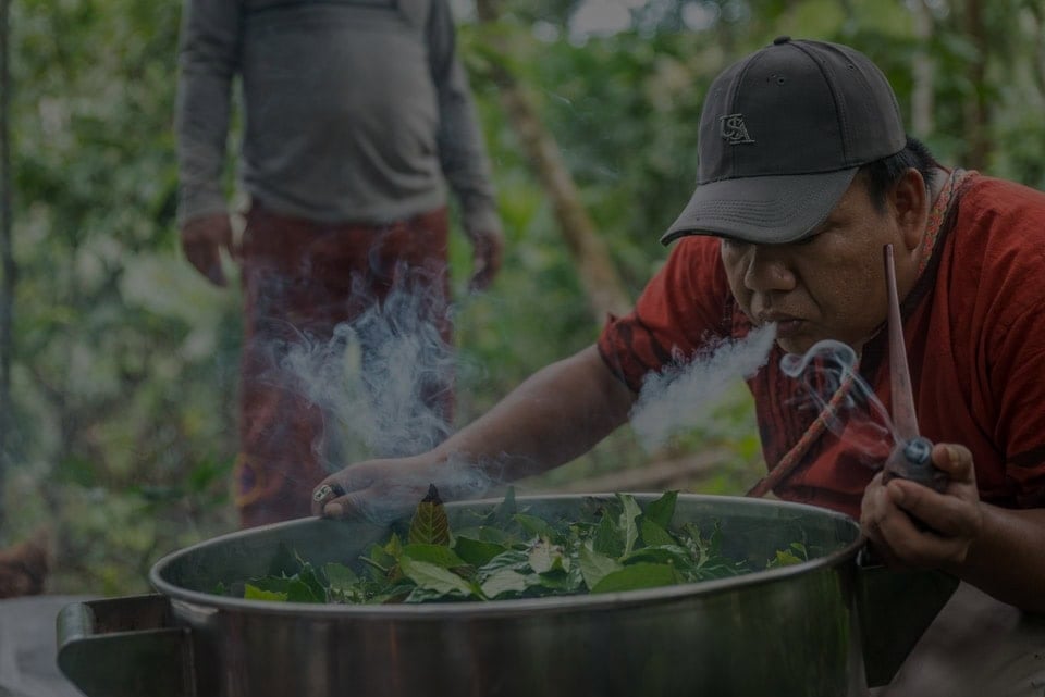 Retraite Ayahuasca 2026 pour les praticiens de santé