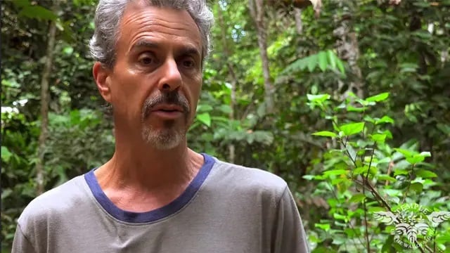 Retraite Ayahuasca 2026 pour les praticiens de santé