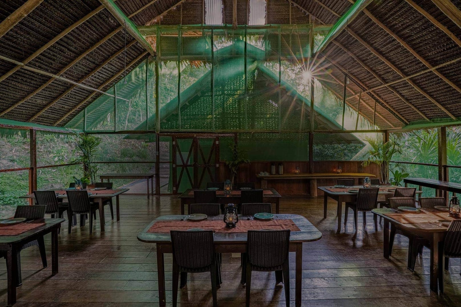 Régimes de plantes traditionnels chez Shipibo Rao
