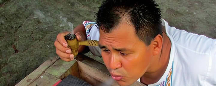 Retraite de Réjuvénation Ayahuasca de 10 Jours