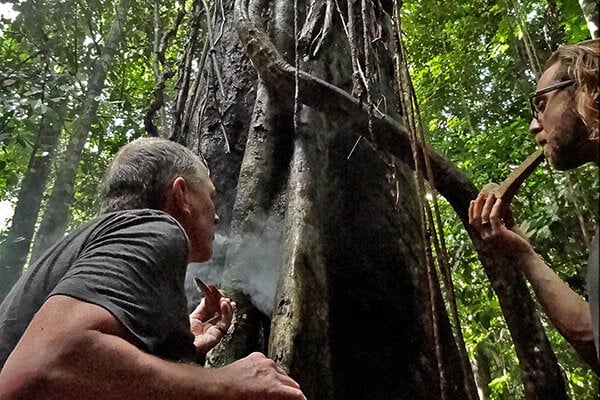 Cours d’initiation à l’ayahuasca de 8 semaines