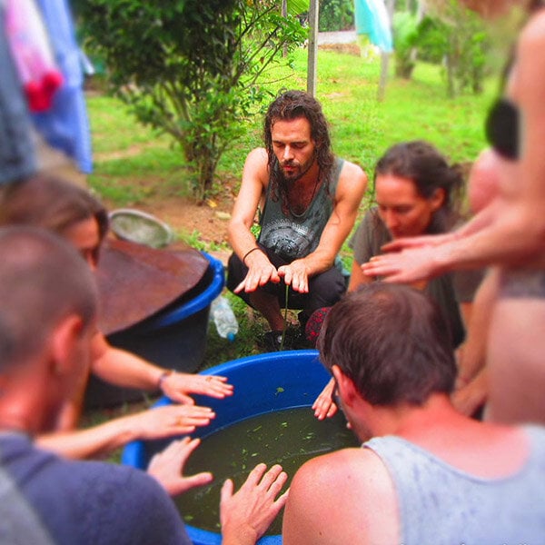 Cours d’initiation à l’ayahuasca de 8 semaines