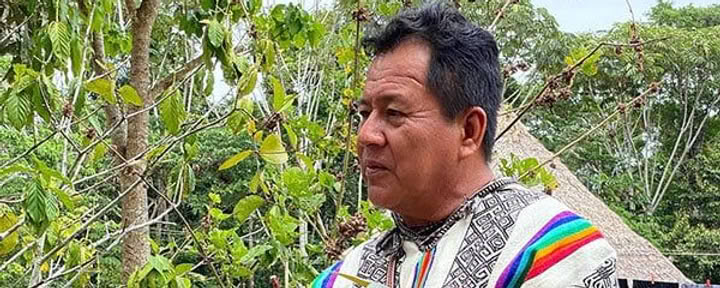 Cours d’initiation à l’ayahuasca de 8 semaines