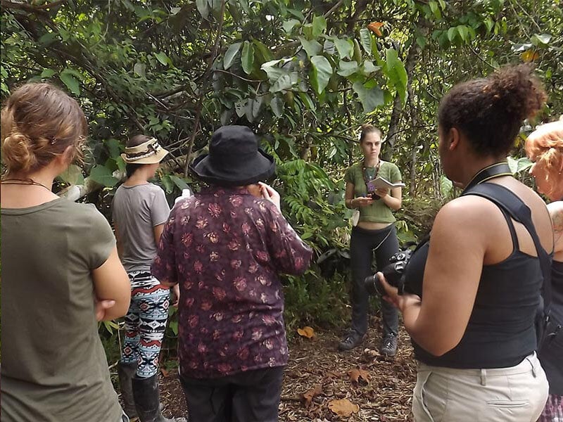 Retraite d'Ayahuasca pour femmes de 10 jours