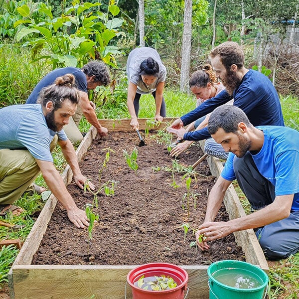 Cours d’initiation à l’ayahuasca Shipibo de huit semaines au Pérou – 4 octobre - 28 novembre 2026