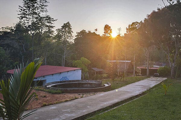 Cours d’initiation à l’ayahuasca Shipibo de huit semaines au Pérou – 4 octobre - 28 novembre 2026