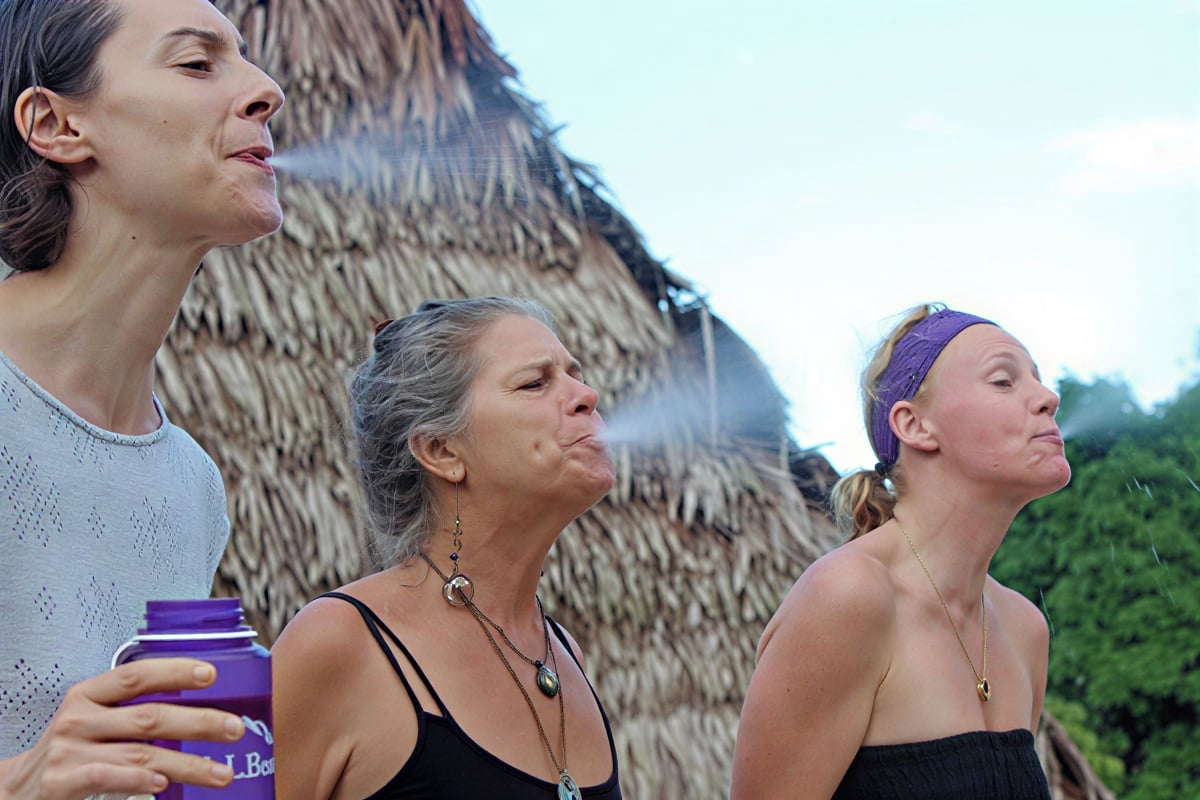 Cours d’initiation à l’ayahuasca Shipibo de huit semaines au Pérou – 4 octobre - 28 novembre 2026
