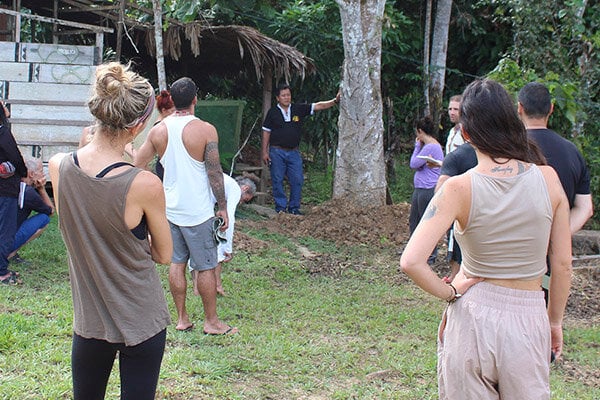 Cours d’initiation à l’ayahuasca Shipibo de huit semaines au Pérou – 4 octobre - 28 novembre 2026