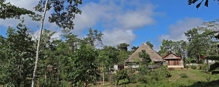 Cours d’initiation à l’ayahuasca Shipibo de huit semaines au Pérou – 4 octobre - 28 novembre 2026