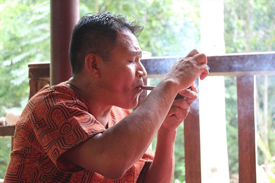 Retraite Shipibo d'Ayahuasca et Dieta de Plantes