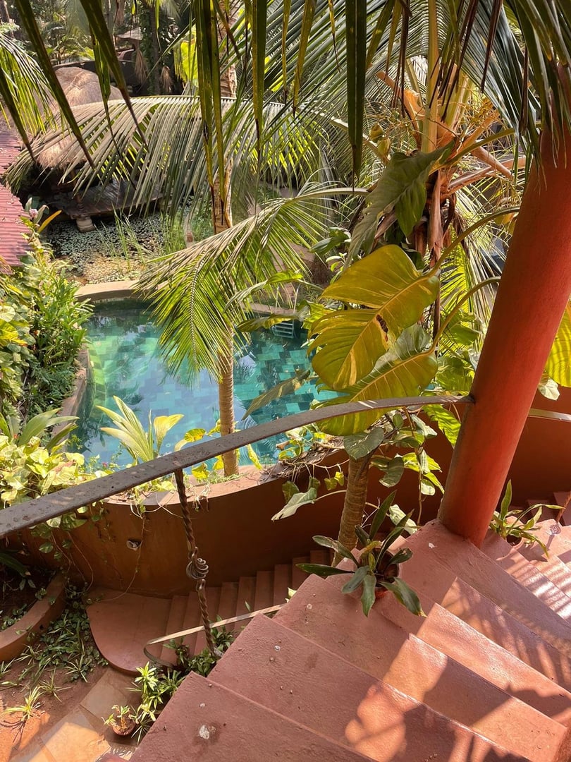 Retraite de yoga Fire and Nectar à Goa, en Inde