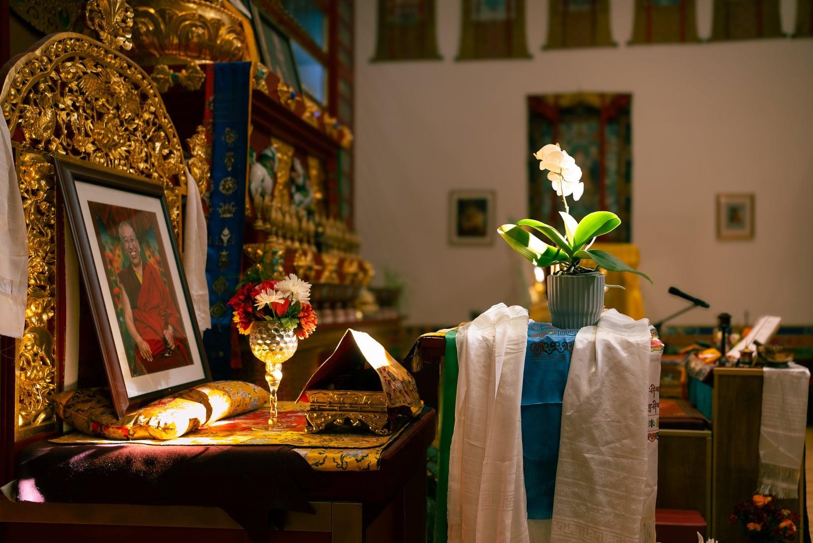 Milarepa : enseignements sur la vie remarquable d’un yogi tibétain avec Ani Lodro